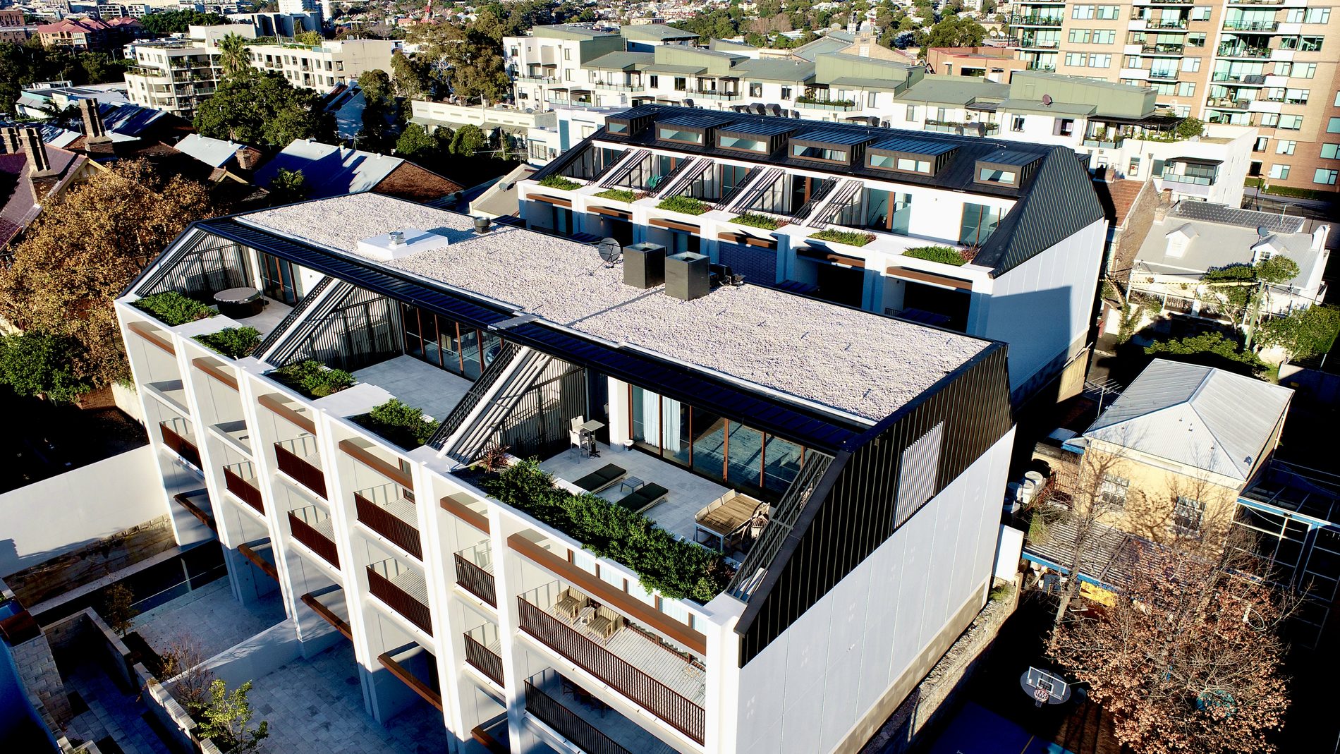 New Life, Pyrmont