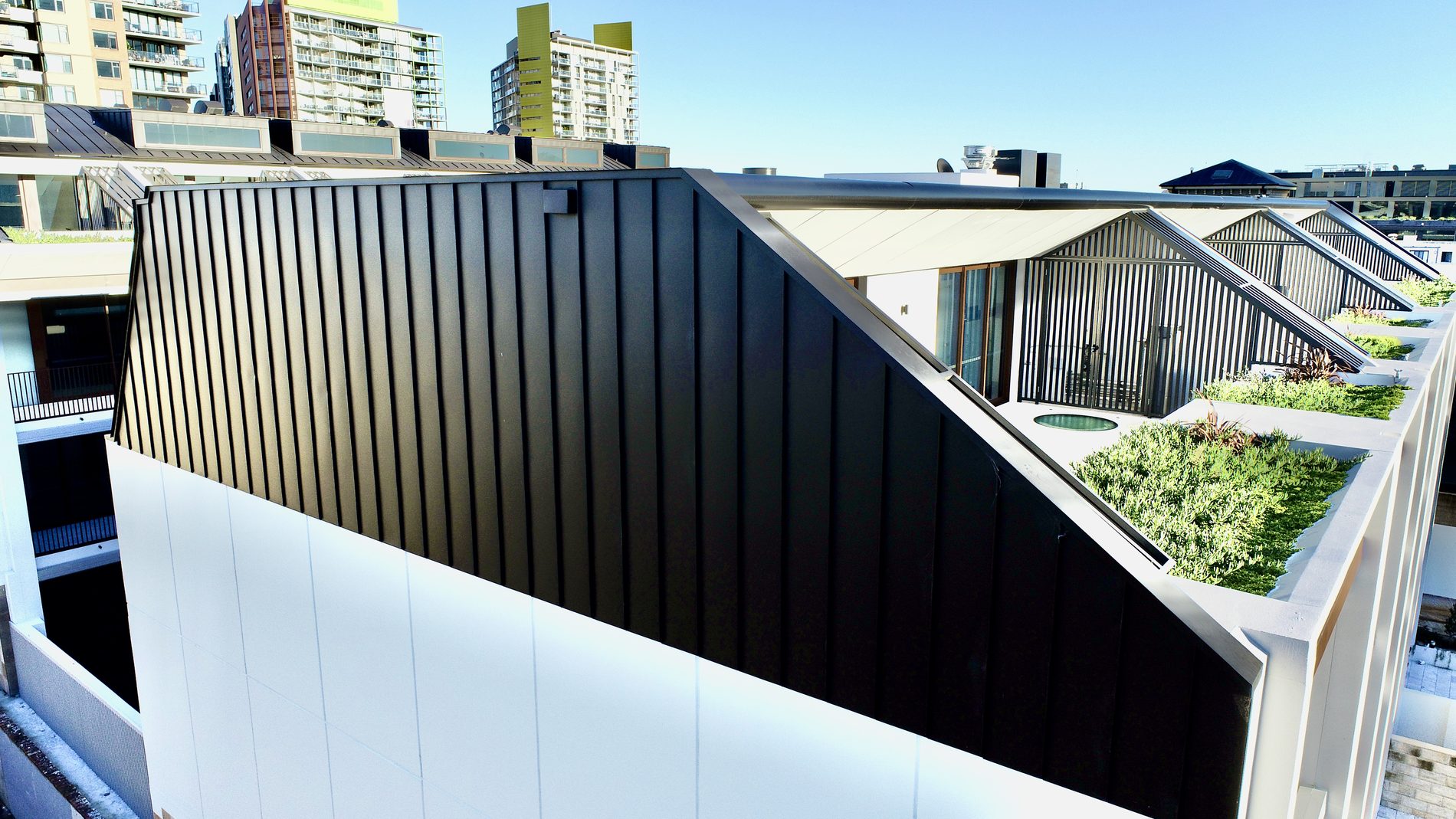 New Life, Pyrmont